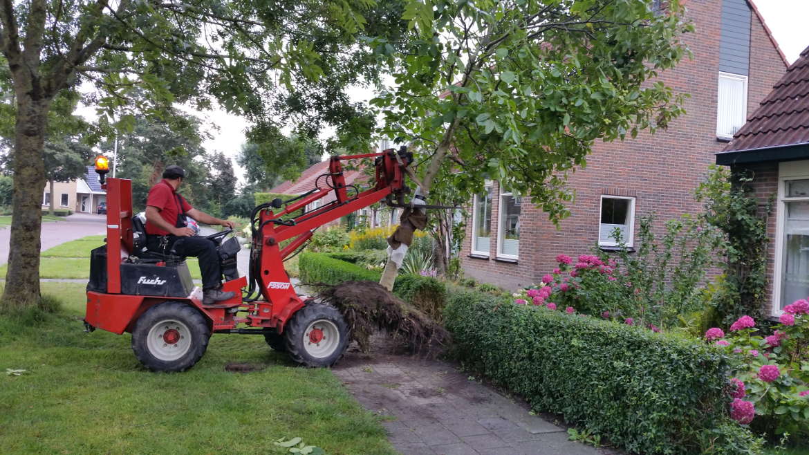 04_verplanten_walnootboom_Koudum_20150824_111138